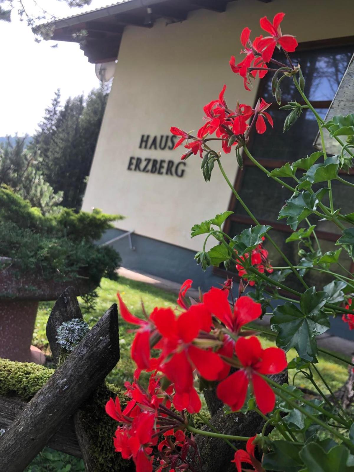 Bed and Breakfast Haus-Erzberg Vordernberg Екстер'єр фото